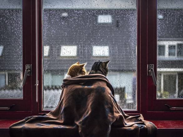 Резкое похолодание, снег и дождь: Украину накроет циклон