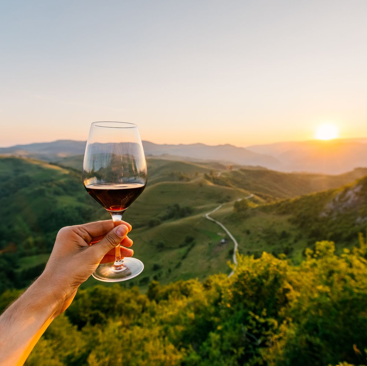 Хорватські вина: чарівний світ досконалості